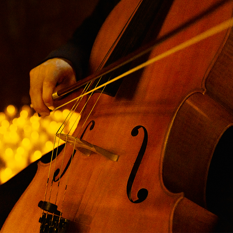 Candlelight speciale San Valentino